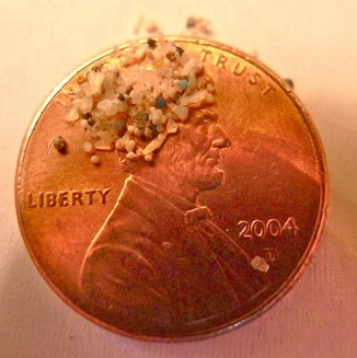 Microbeads found in the Great Lakes Photo courtesy of 5gyres.org 